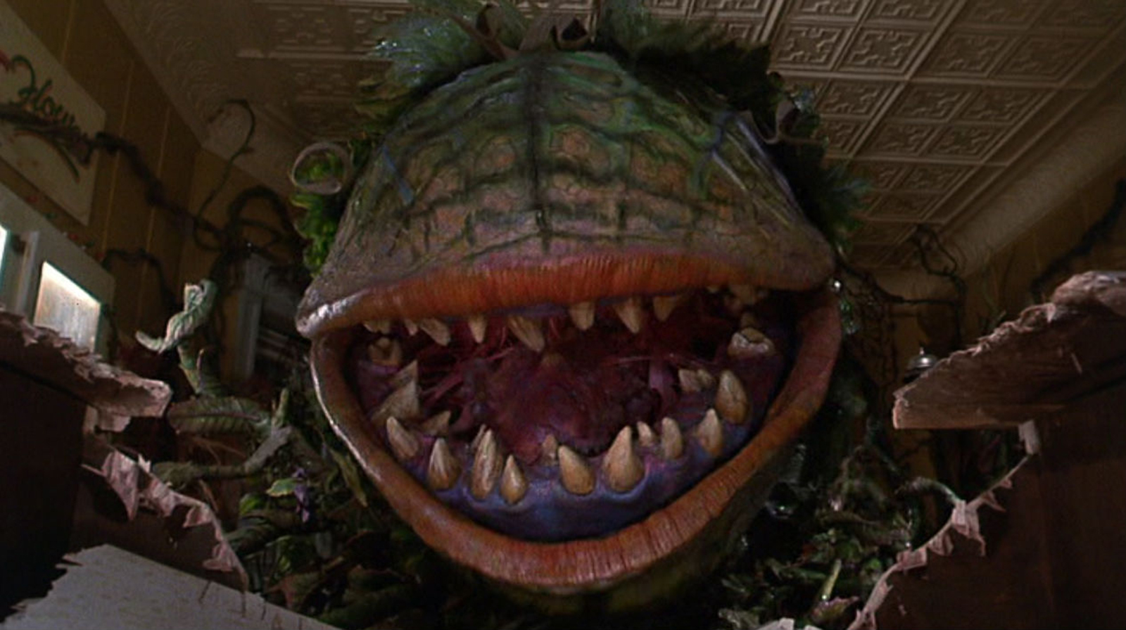 This is a still from The Little Shop of Horrors.