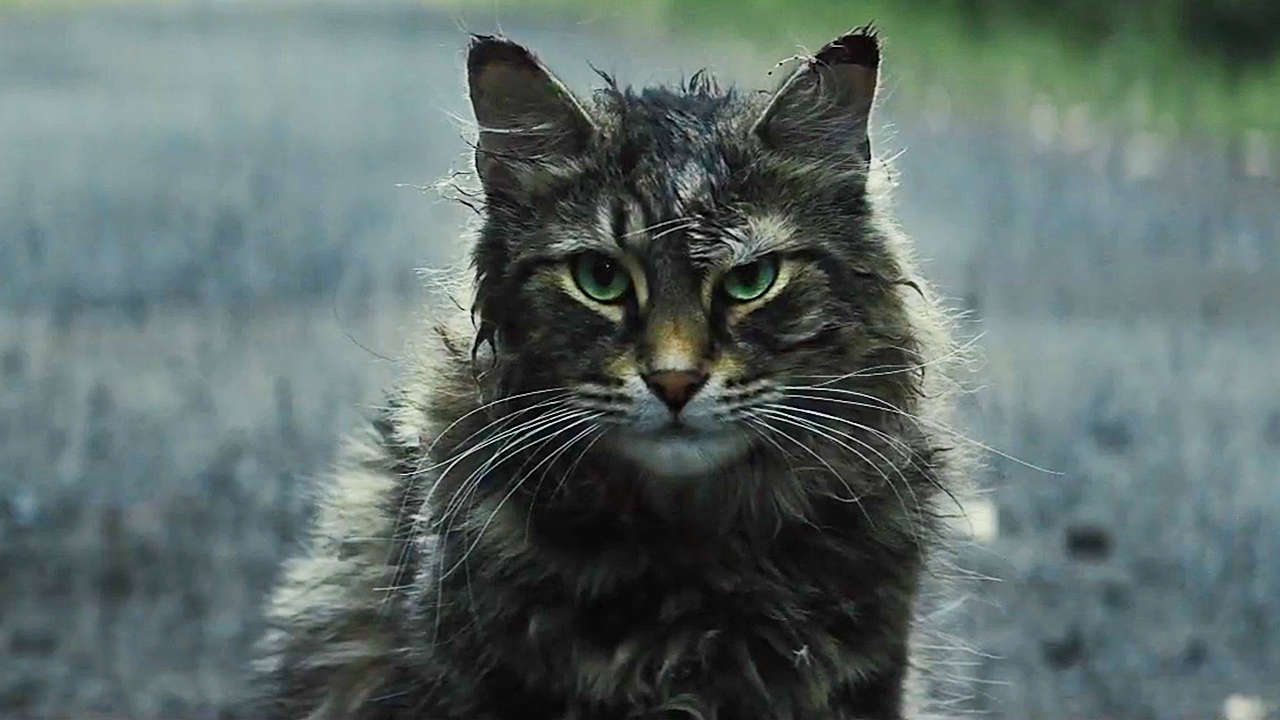 This is a still from the movie Pet Sematary (2019).
